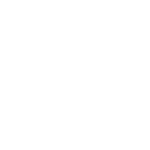 Aliante Build